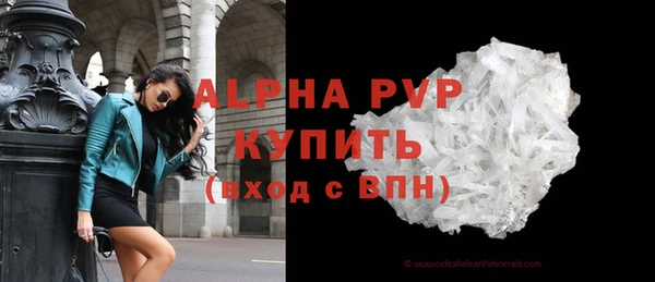индика Бердск