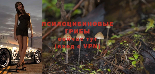 ALPHA PVP Михайловск