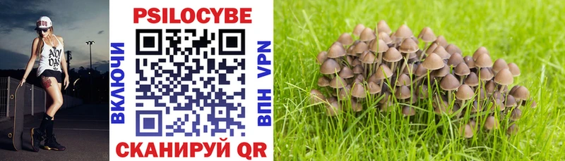 блэк спрут Салехард Псилоцибиновые грибы Magic Shrooms